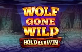 Wolf Gone Wild Hold And Win - Felix gaming