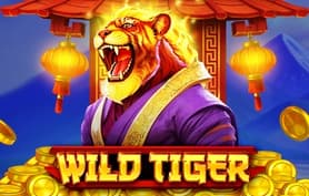 Wild Tiger - Bgaming